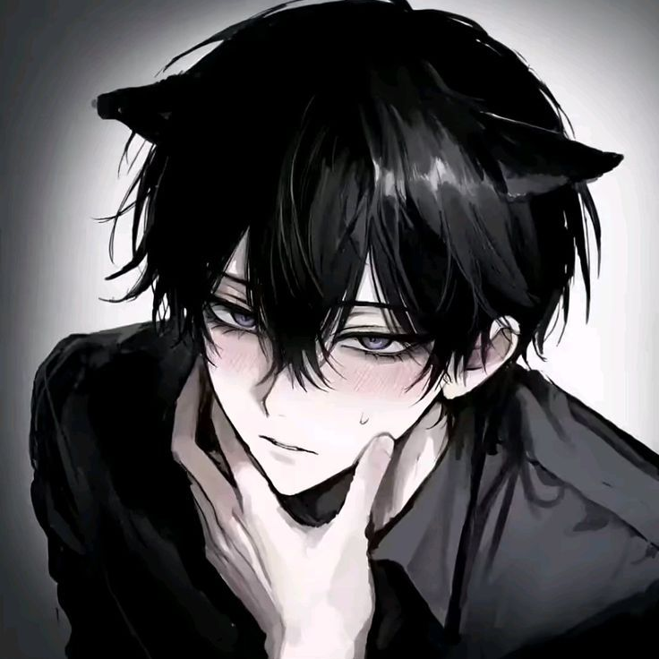 나의 귀여운 고양이🐱 대표 이미지