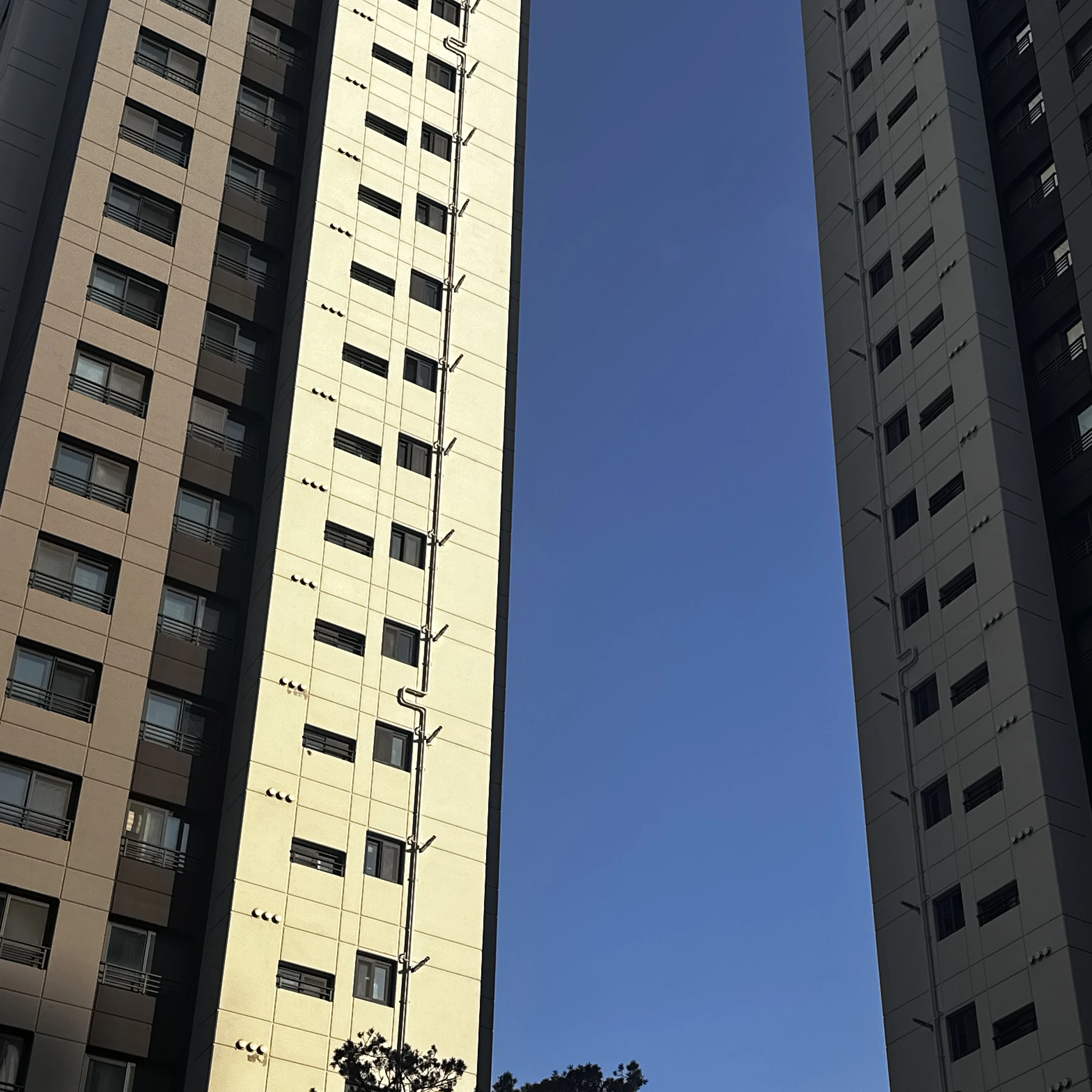 태현