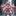 魔法少女（物理）