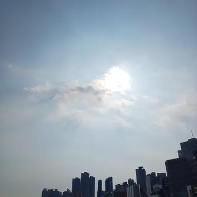 Profile image of 투표