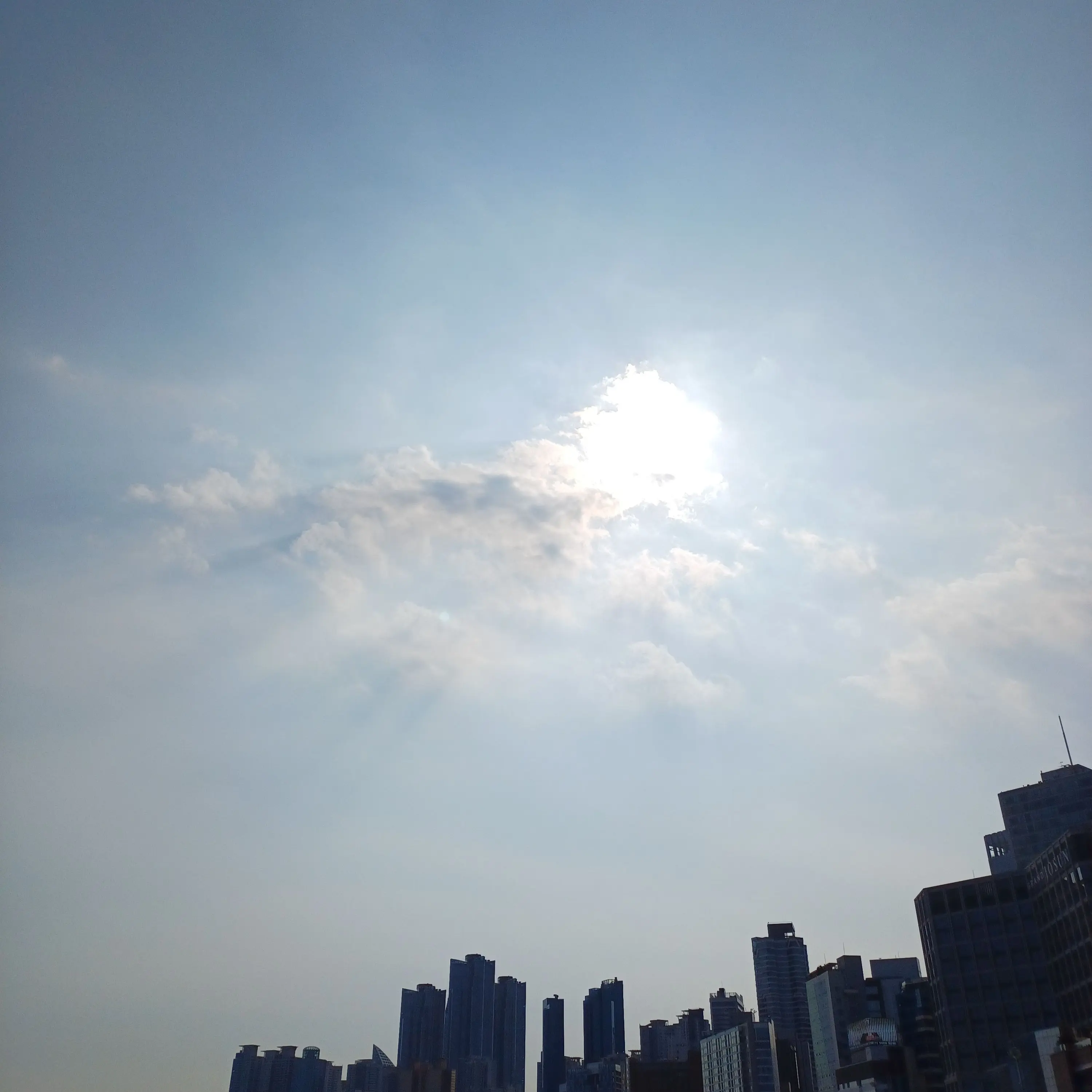seo45817의 투표 ㄱ