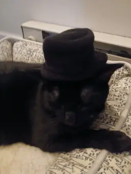 Profile image of Ethan