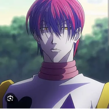 Profile image of ヒソカ