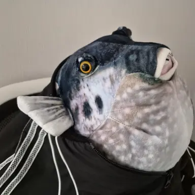 Profile image of 이건우