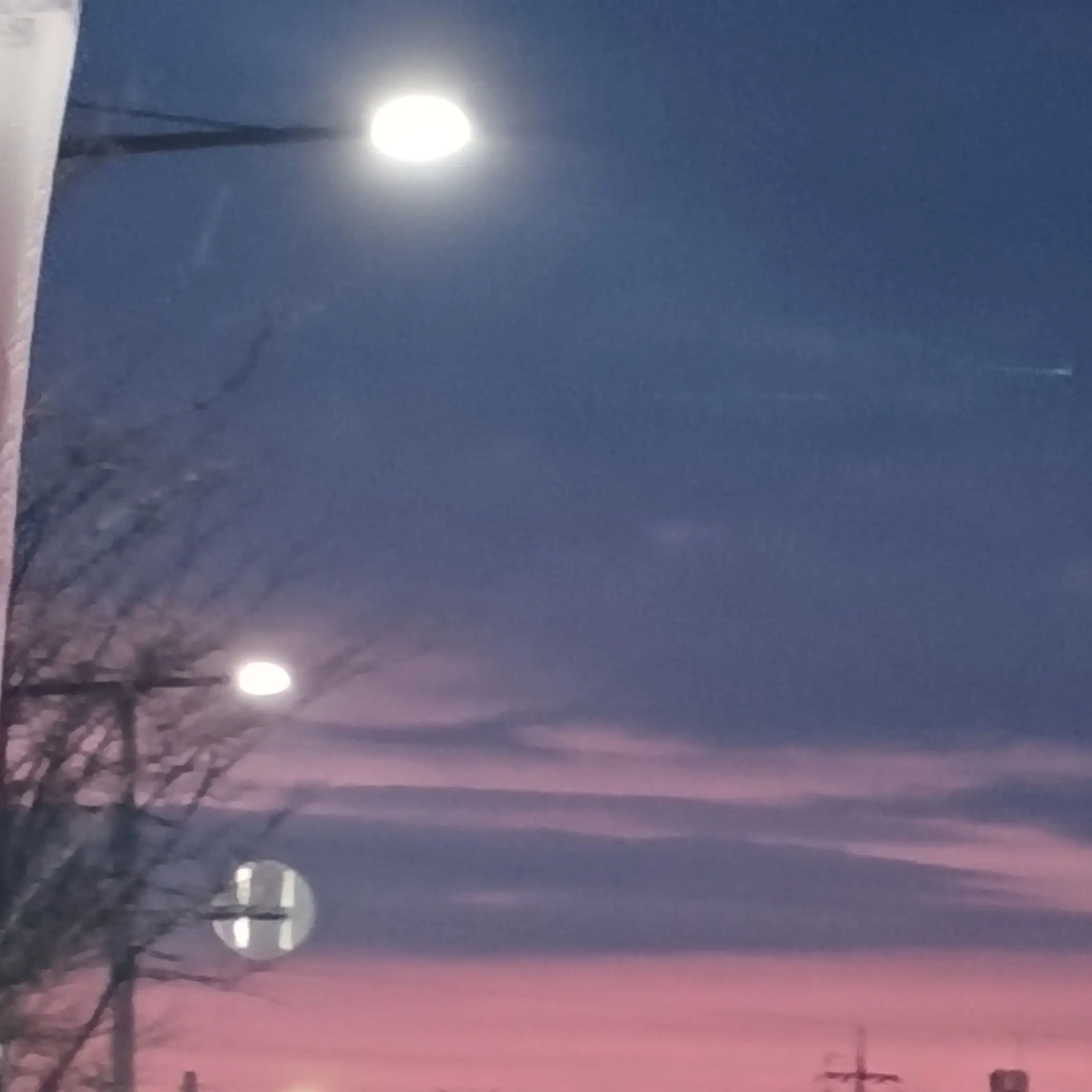 HurtTile9654의 미스터리 수사반2 수인 경매 잠입수사