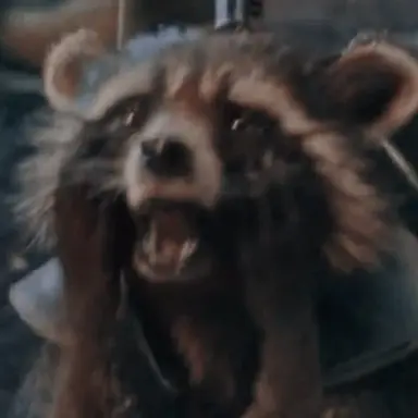 Profile image of Rocket