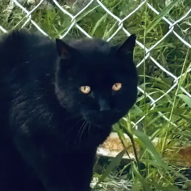 Profile image of 前田まさお