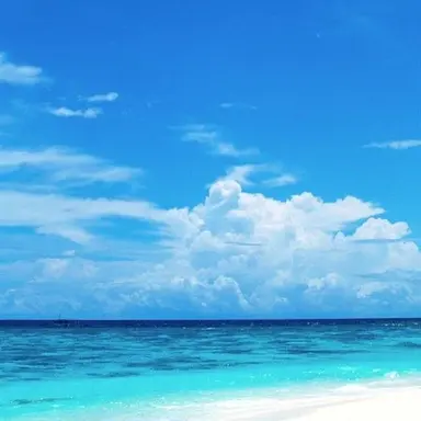 Profile image of スナックシミュレーシ