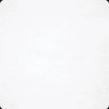 Profile image of 나은