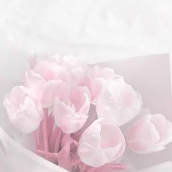 Profile image of 밥풀