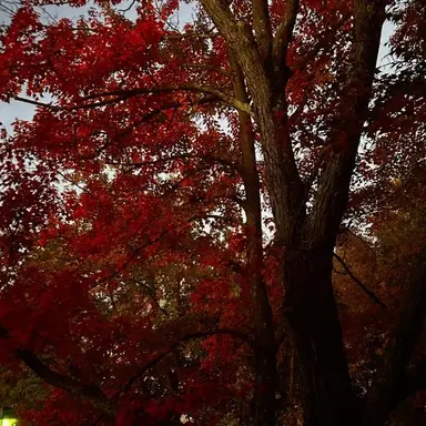 Profile image of 서라더