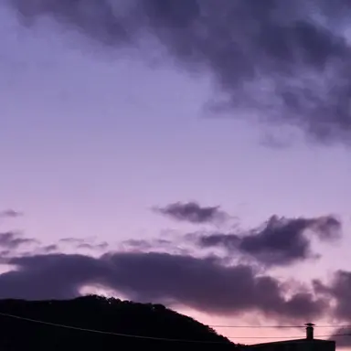 Profile image of 김소현