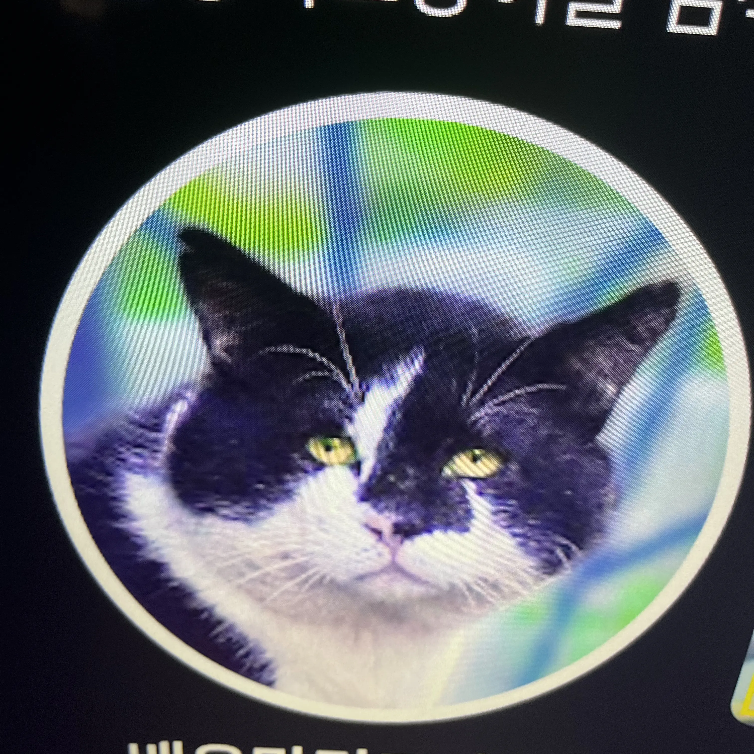 MuteSpool7325의 6학년들의 학교들의 일상