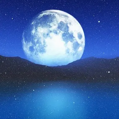 Profile image of user