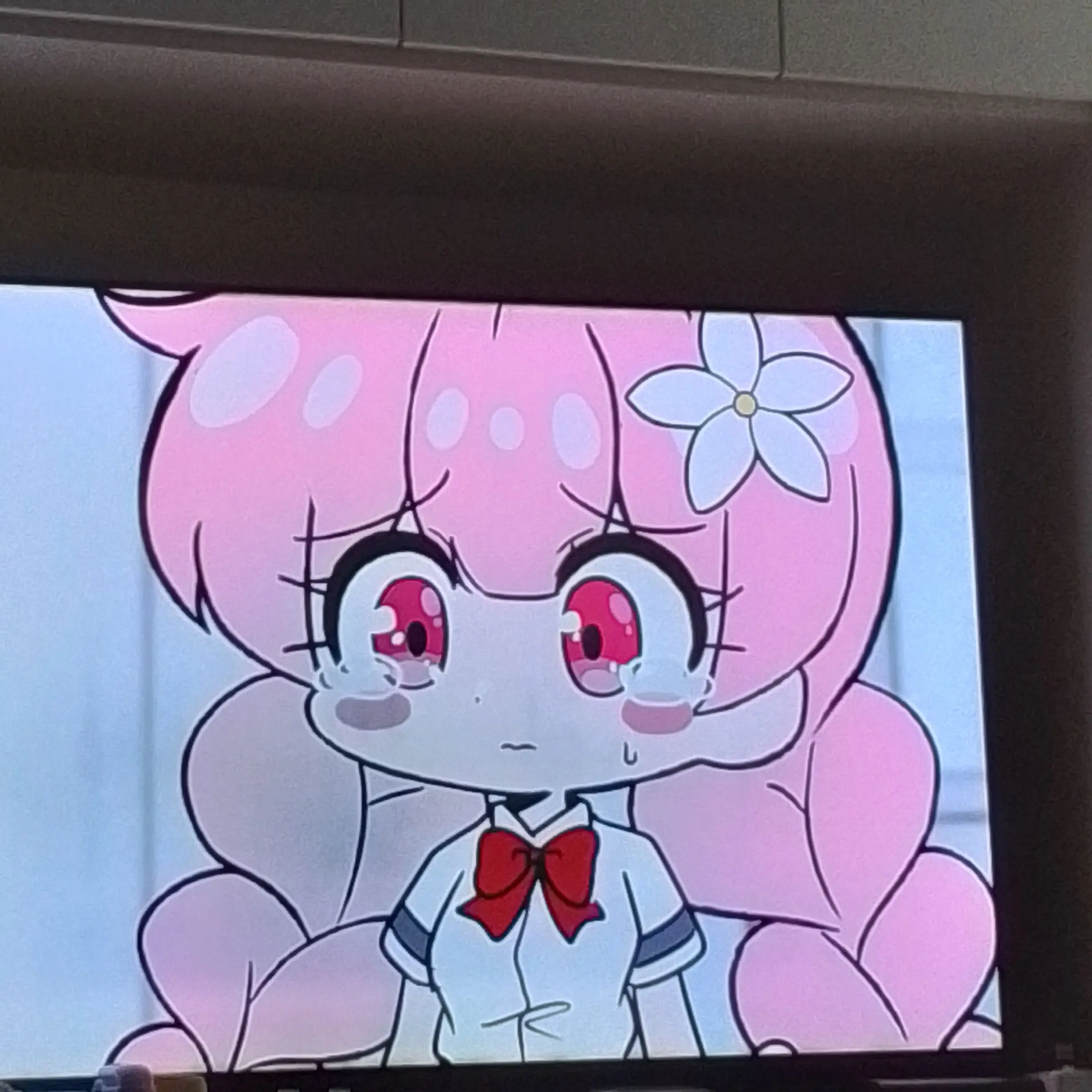 llamopa의 아픈 박솔트