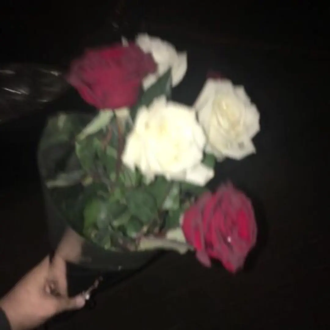 RancidFear9164의 짝은 이미 정했다.