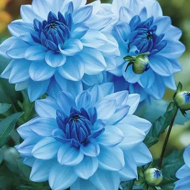 Profile image of 박잠뜰