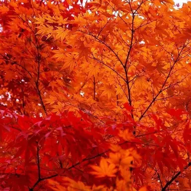 Profile image of 박덕개