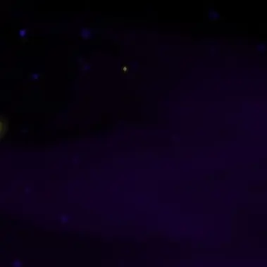 Profile image of 당신