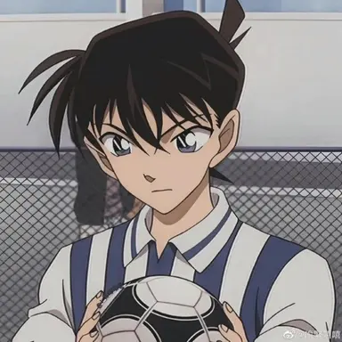 Profile image of Shinichi Kudo