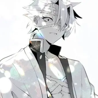 Profile image of 시나즈가와 사네미