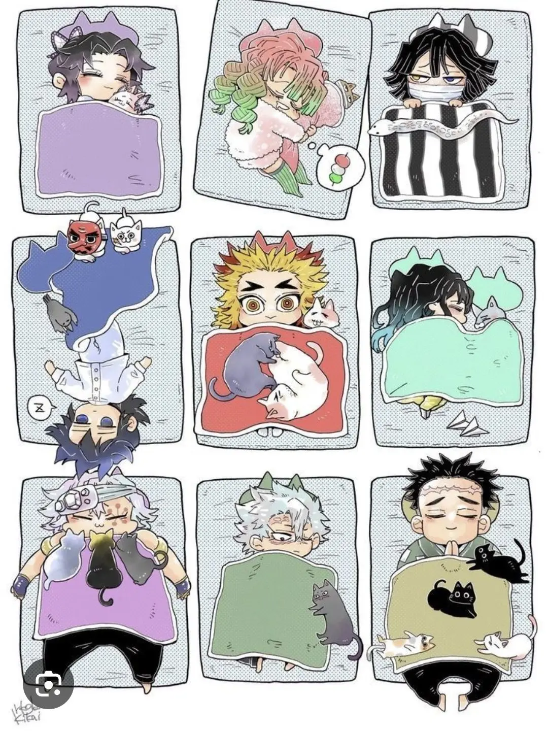 1628492048의 캠핑수영/여우/늑대/주들큰어르신