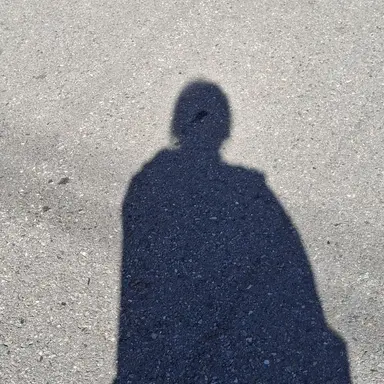 Profile image of 주인장