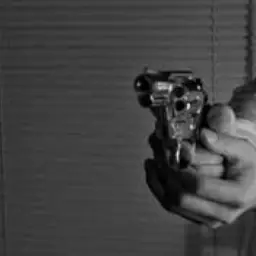 StiffDaug8888의 銃―あの夜俺たちの運命は決まった