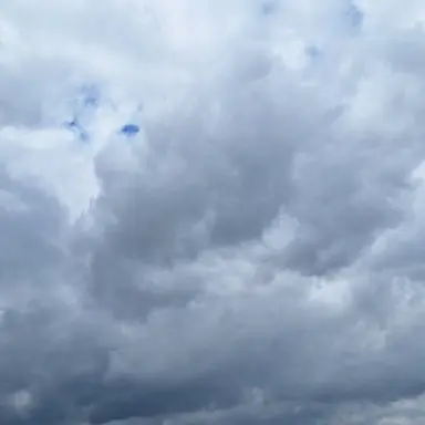 Profile image of 토키토 무이치로