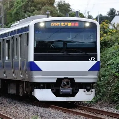 Profile image of 常盤水希