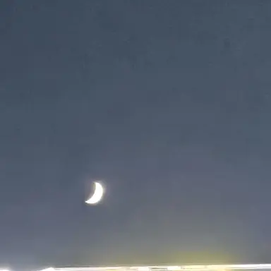 Profile image of 드림벨