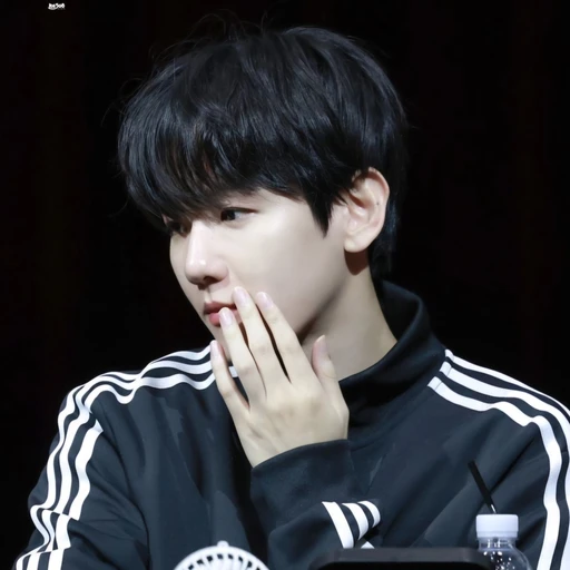 변백현