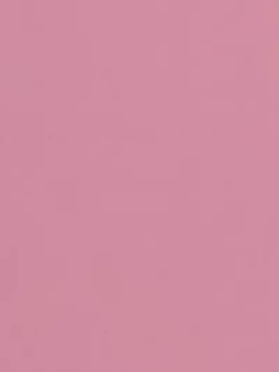 DrunkWife0221의 佐野勇斗とドラマでW主演。