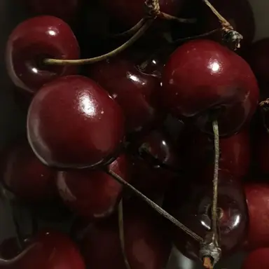 Profile image of 葛葉