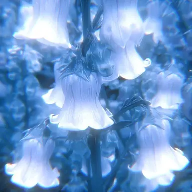 Profile image of イブラヒム