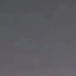 지한