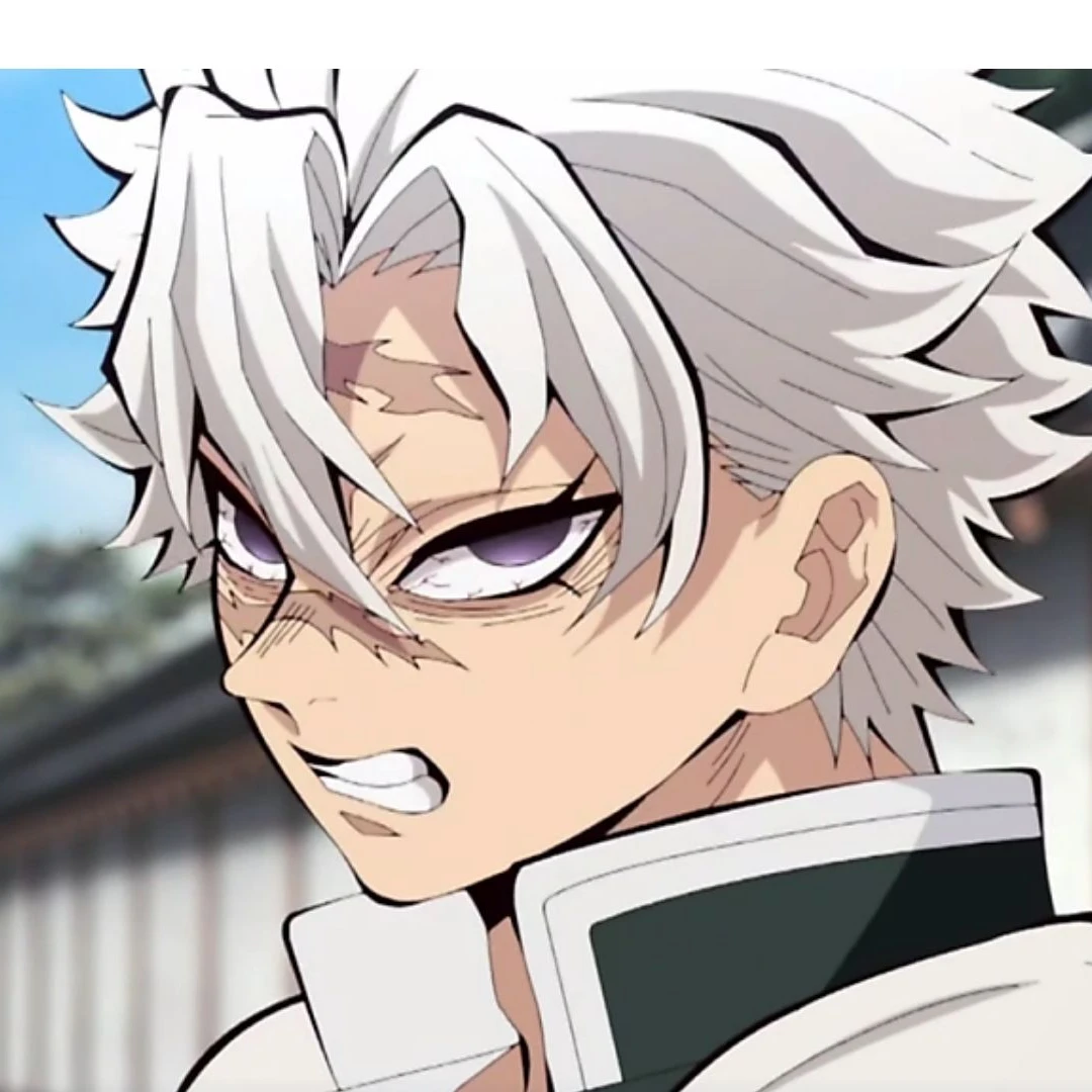 시나즈가와 사네미