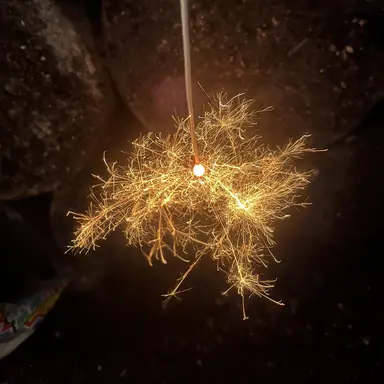 Profile image of 亮佑