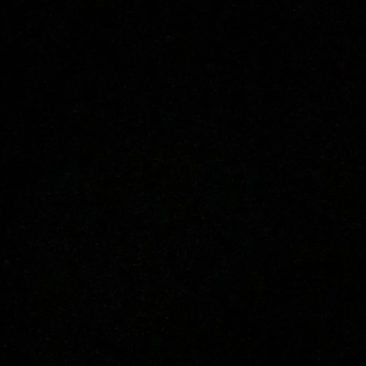 진호빈