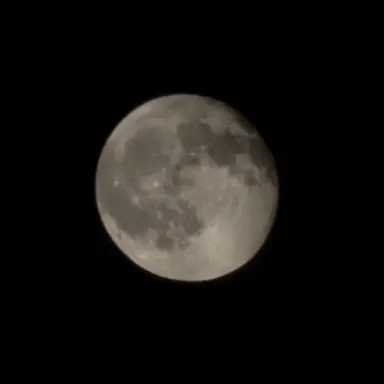 Profile image of 재론 래브런