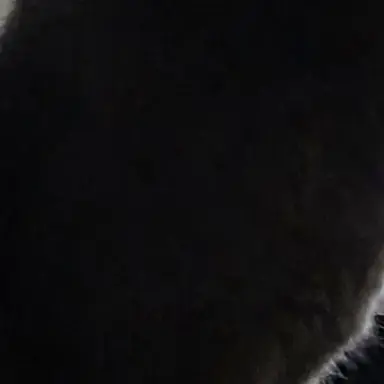 Profile image of 리안 그레이