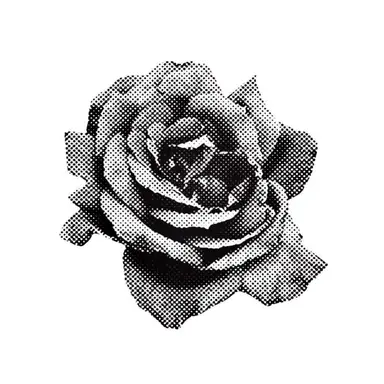 Profile image of A . R