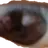 ㅈ같은눈알