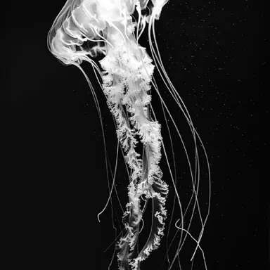 Profile image of 노아