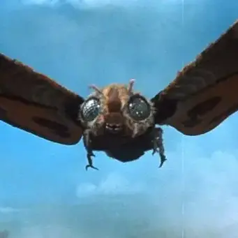 Profile image of Showa Mothra