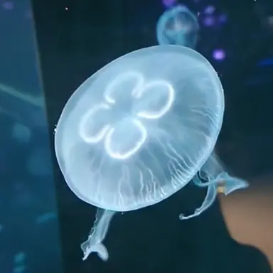 Profile image of 린이