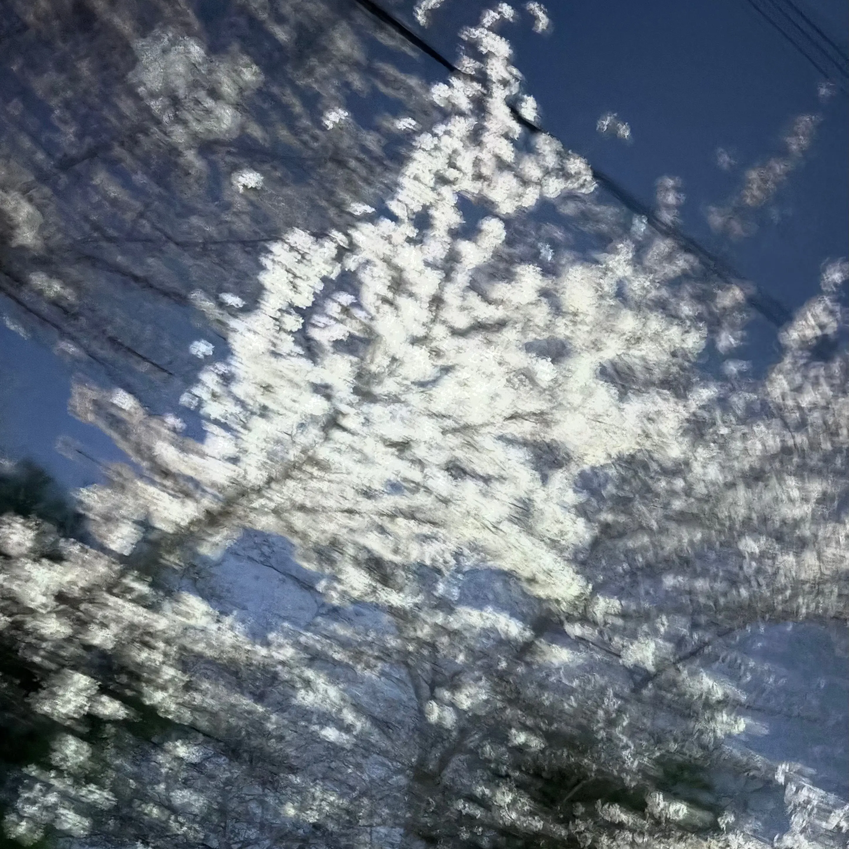 GildedShoes1832의 벌써 난 너를