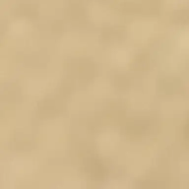 Profile image of 지혁