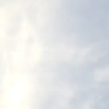 Profile image of 송태섭