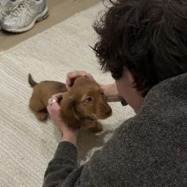 Profile image of Shawn